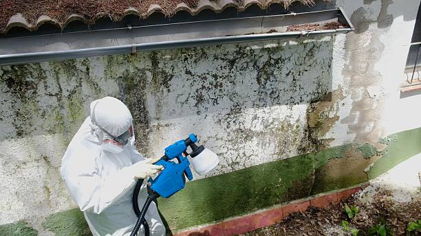 Trusted Mold Inspection service in Kenilworth, PA - Cheap Mold Removal